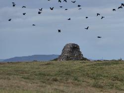 Cruggleton Castle